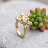 Gold succulent ring with two tiny moonstone accents, displayed on a light stone beside a real green succulent plant.